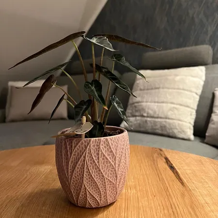 Kempkens -hochwertig&modern Apartment *